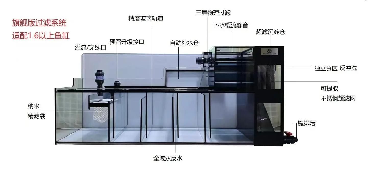 如何判斷龍魚(yú)缸的性價(jià)比？，如何判斷龍魚(yú)缸性價(jià)比