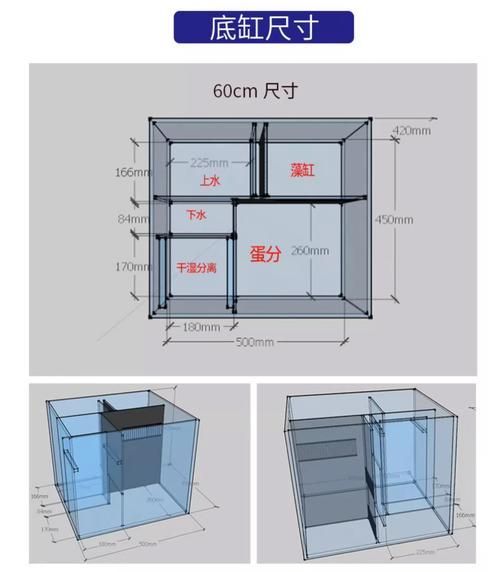如何判斷龍魚(yú)缸的性價(jià)比？，如何判斷龍魚(yú)缸性價(jià)比