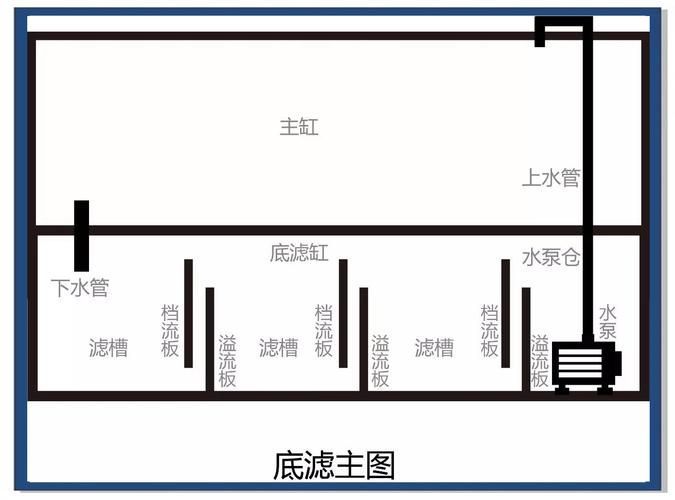 如何判斷龍魚(yú)缸的性價(jià)比？，如何判斷龍魚(yú)缸性價(jià)比