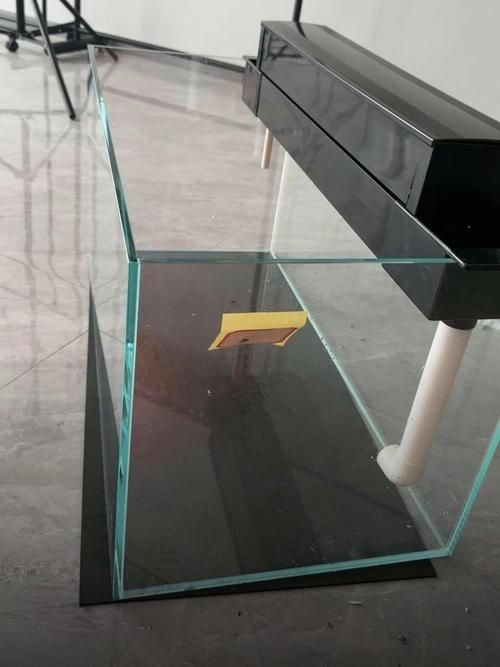 如何判斷龍魚(yú)缸的性價(jià)比？，如何判斷龍魚(yú)缸性價(jià)比