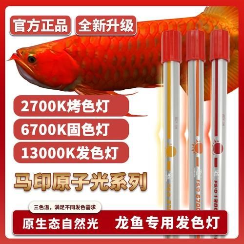 馬印13000K燈的價格是多少,馬印13000k燈價格 龍魚百科 第2張 馬印13000K燈的價格是多少,馬印13000k燈價格 馬印13000K燈的價格是多少,馬印13000k燈價格 龍魚百科 第2張