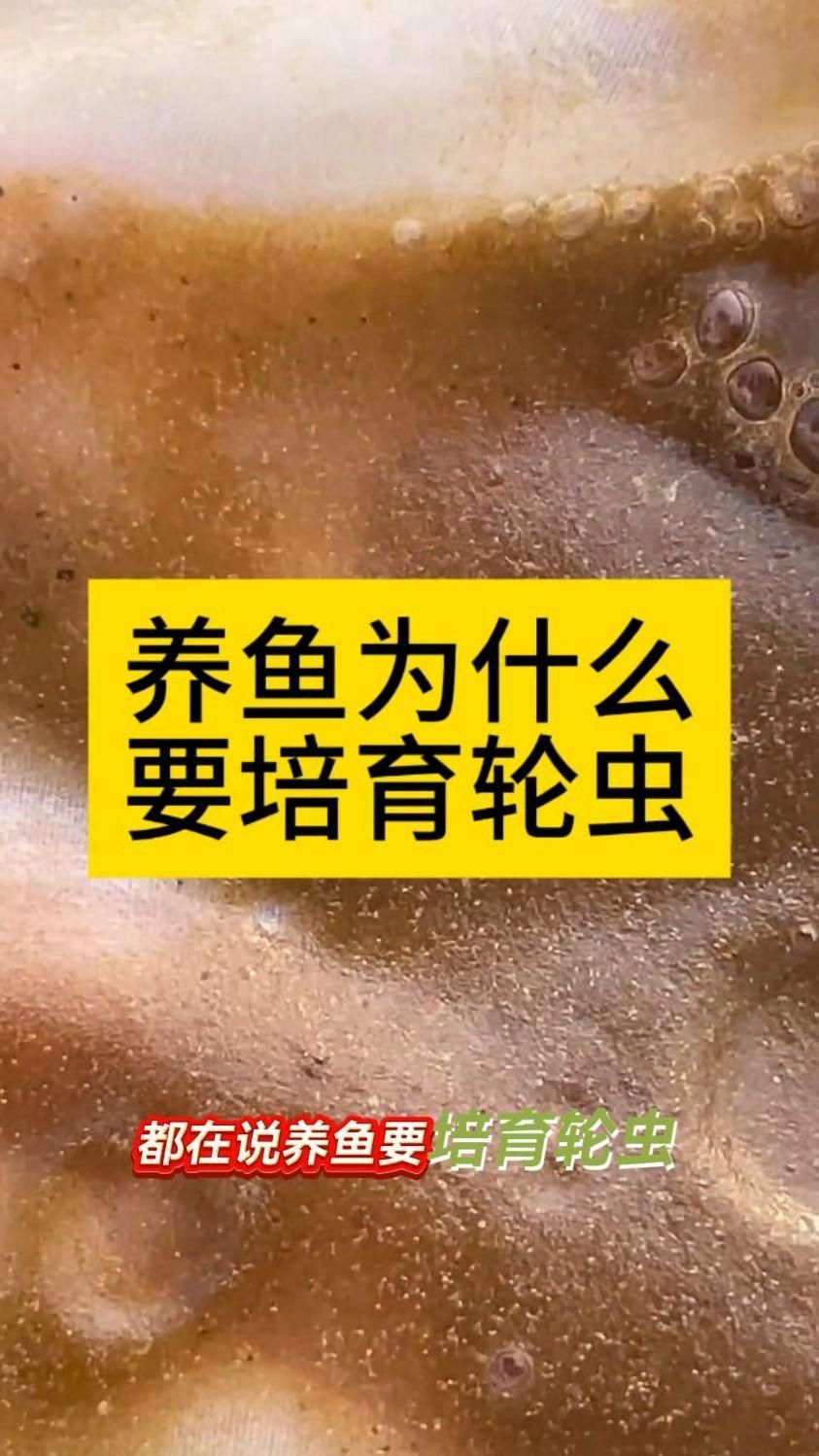 哪些寄生蟲對魚類危害最大，中科貝隆魚病防治科普系列全民小視頻探討魚類養殖業