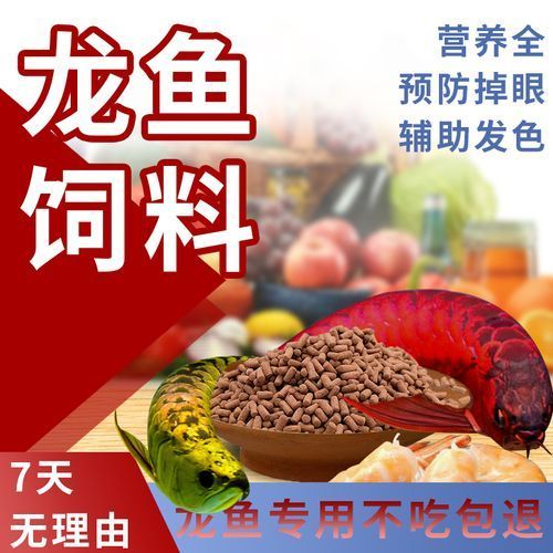 馬印龍魚(yú)飼料有哪些型號(hào)?,馬印龍魚(yú)飼料選購(gòu)對(duì)比 龍魚(yú)百科 第8張 馬印龍魚(yú)飼料有哪些型號(hào)?,馬印龍魚(yú)飼料選購(gòu)對(duì)比 馬印龍魚(yú)飼料有哪些型號(hào)?,馬印龍魚(yú)飼料選購(gòu)對(duì)比 龍魚(yú)百科 第8張