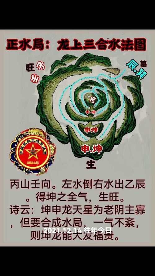 龍形地風水有哪些經典案例，龍形地風水案例賞析 龍形地風水有哪些經典案例，龍形地風水案例賞析 龍魚百科 第33張