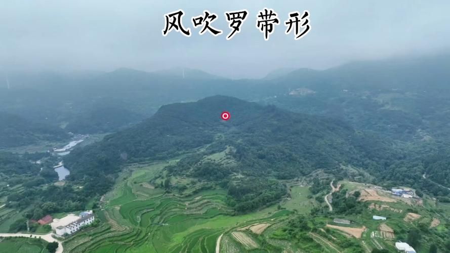 龍形地風水有哪些經典案例，龍形地風水案例賞析 龍形地風水有哪些經典案例，龍形地風水案例賞析 龍魚百科 第13張