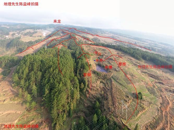 龍形地風水有哪些經典案例，龍形地風水案例賞析 龍形地風水有哪些經典案例，龍形地風水案例賞析 龍魚百科 第15張