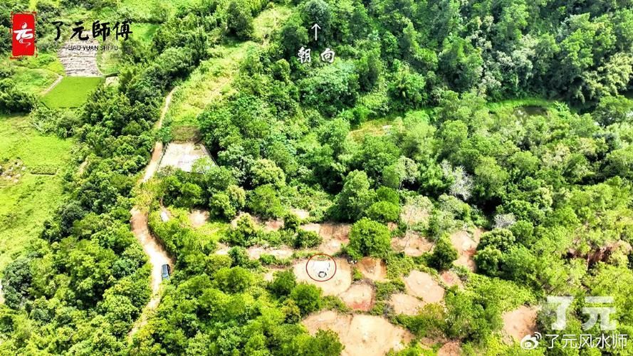 龍形地風水有哪些經典案例，龍形地風水案例賞析 龍形地風水有哪些經典案例，龍形地風水案例賞析 龍魚百科 第22張