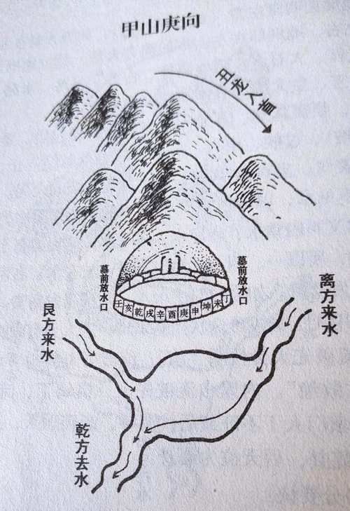 龍形地風水有哪些經典案例，龍形地風水案例賞析 龍形地風水有哪些經典案例，龍形地風水案例賞析 龍魚百科 第31張