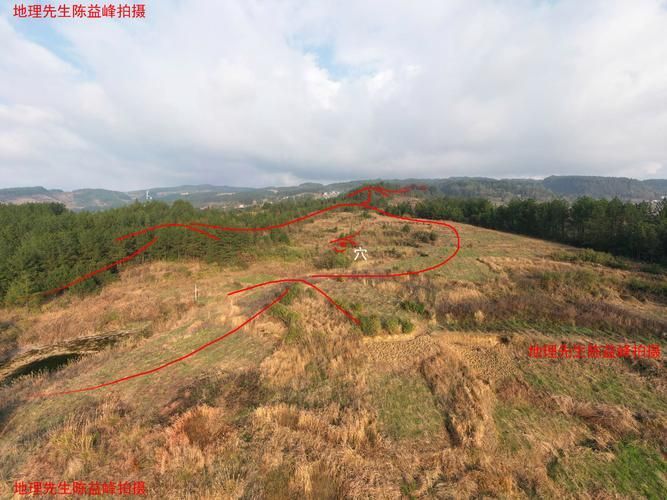 龍形地風水有哪些經典案例，龍形地風水案例賞析 龍形地風水有哪些經典案例，龍形地風水案例賞析 龍魚百科 第25張