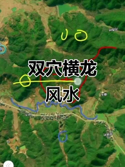 龍形地風水有哪些經典案例，龍形地風水案例賞析 龍形地風水有哪些經典案例，龍形地風水案例賞析 龍魚百科 第11張