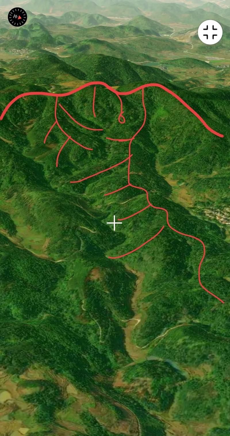 龍形地風水有哪些經典案例，龍形地風水案例賞析 龍形地風水有哪些經典案例，龍形地風水案例賞析 龍魚百科 第19張