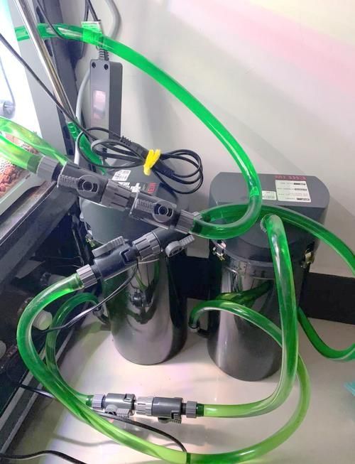 伊罕魚缸有哪些型號可選？，伊罕魚缸+雙光譜（eheimpowerled+246l)246l)） 伊罕魚缸有哪些型號可選？，伊罕魚缸+雙光譜（eheimpowerled+246l)246l)） 龍魚百科 第1張