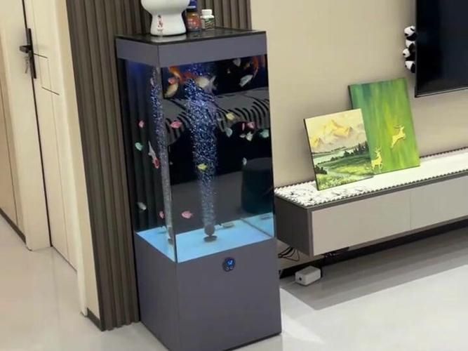 給我一些家庭水族箱布置的圖片，家庭水族箱布置圖片 給我一些家庭水族箱布置的圖片，家庭水族箱布置圖片 龍魚(yú)百科 第4張