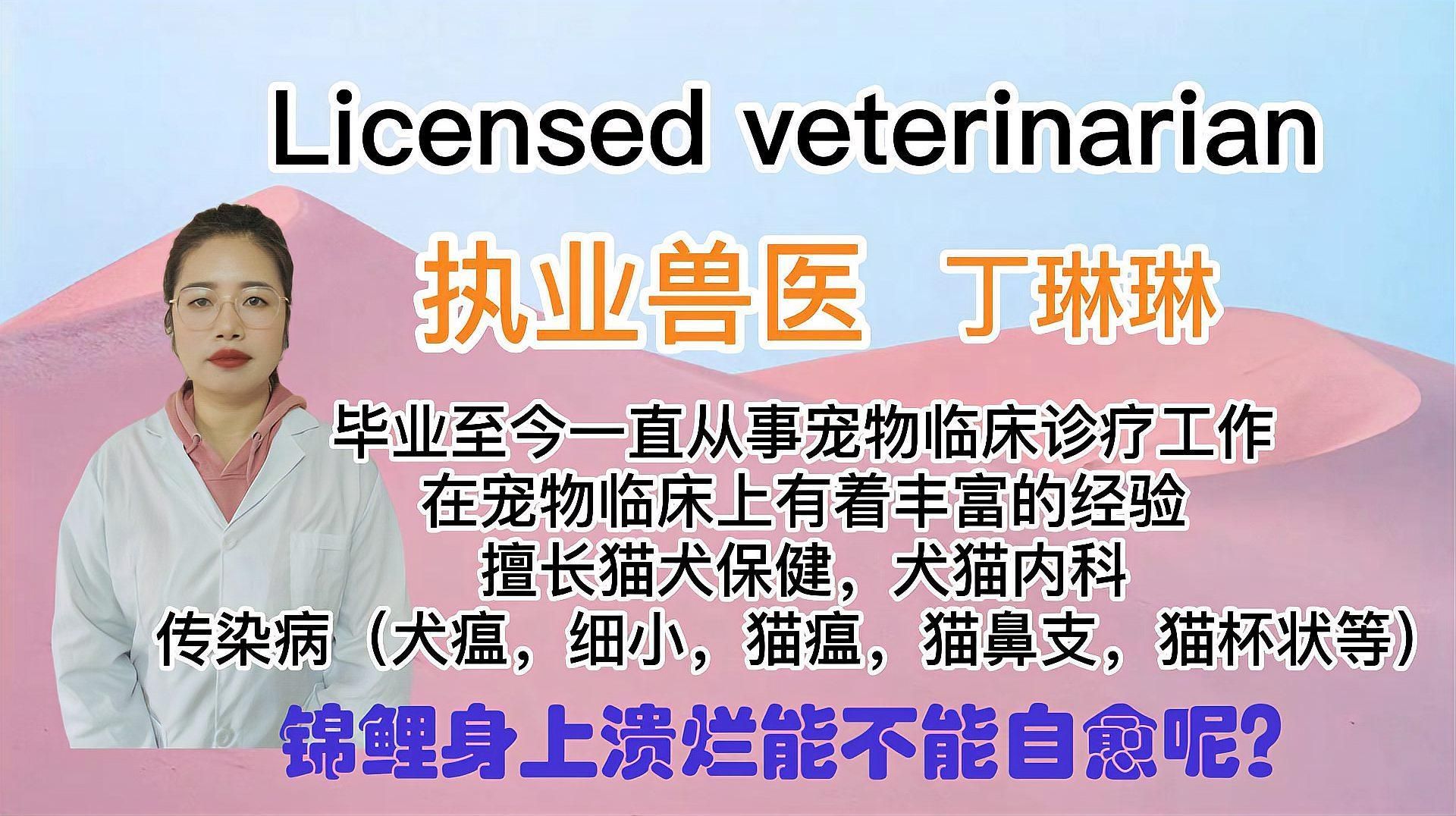 魚身上潰爛能自愈嗎，魚身上潰爛是否能自愈 魚身上潰爛能自愈嗎，魚身上潰爛是否能自愈 龍魚百科