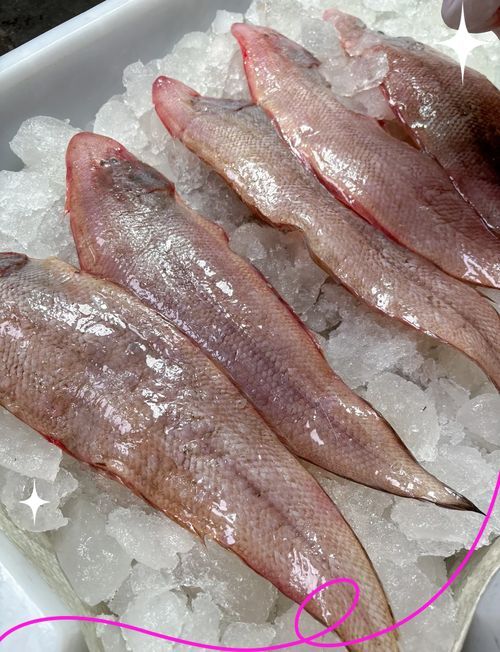 龍魚哪個品種最有營養？，如何區分不同品種的龍魚？ 龍魚哪個品種最有營養？，如何區分不同品種的龍魚？ 龍魚百科 第1張