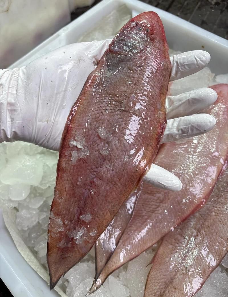 龍魚哪個品種最有營養？，如何區分不同品種的龍魚？ 龍魚哪個品種最有營養？，如何區分不同品種的龍魚？ 龍魚百科 第3張