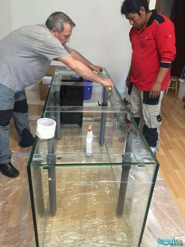 如何選擇適合的高端龍魚缸？，富媒體組件庫召回高端龍魚缸的選購指南