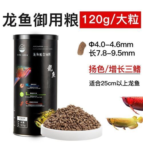如何確保自制龍魚飼料的營養均衡？，如何確保自制龍魚飼料營養均衡 如何確保自制龍魚飼料的營養均衡？，如何確保自制龍魚飼料營養均衡 龍魚百科 第1張