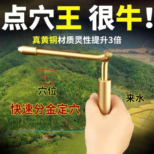 尋龍尺有哪些材質，龍鰍魚養殖技術有哪些龍鰍魚養殖技術有哪些 尋龍尺有哪些材質，龍鰍魚養殖技術有哪些龍鰍魚養殖技術有哪些 龍魚百科 第1張