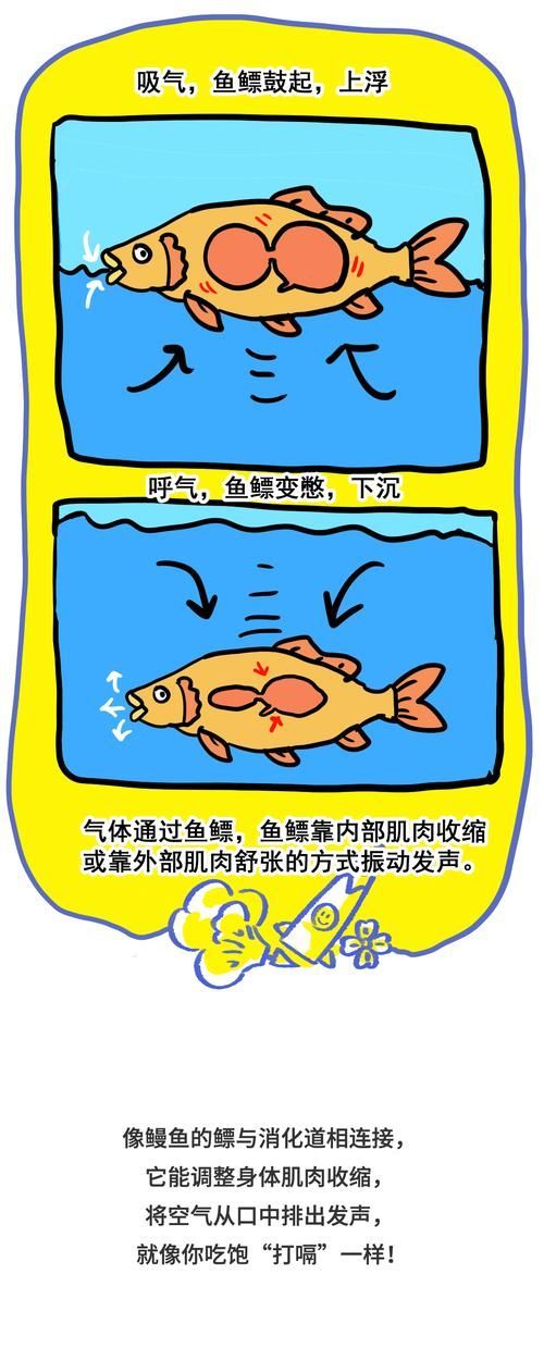 如何判斷魚類是否浮頭，如何判斷魚類浮頭 如何判斷魚類是否浮頭，如何判斷魚類浮頭 龍魚百科 第1張