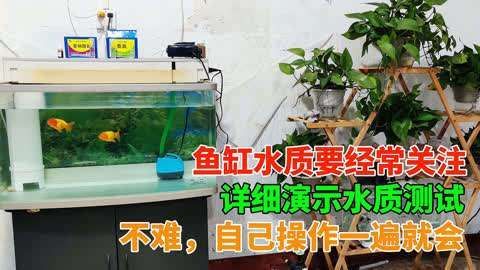 如何預防魚缸真菌感染，arxiv論文助手（arxiv論文助手）真菌感染指南 如何預防魚缸真菌感染，arxiv論文助手（arxiv論文助手）真菌感染指南 龍魚百科 第9張