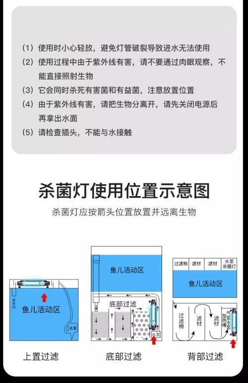 如何預防魚缸真菌感染，arxiv論文助手（arxiv論文助手）真菌感染指南 如何預防魚缸真菌感染，arxiv論文助手（arxiv論文助手）真菌感染指南 龍魚百科 第5張