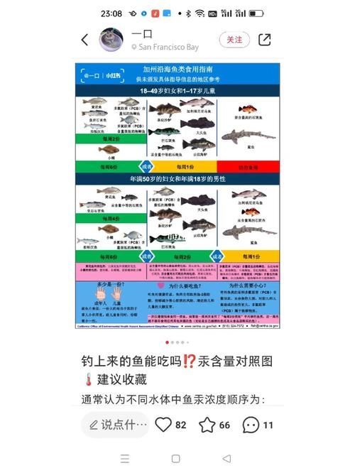 如何判斷深海魚類是否汞含量過高，arxiv論文助手arxiv論文助手判斷深海魚類是否汞含量過高 如何判斷深海魚類是否汞含量過高，arxiv論文助手arxiv論文助手判斷深海魚類是否汞含量過高 龍魚百科 第3張