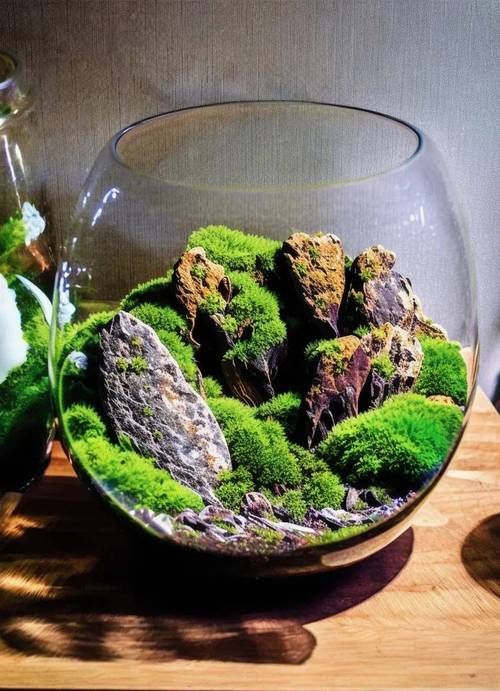 能否提供一張更詳細的造景圖，一張“詳細”的造景圖要素清單 能否提供一張更詳細的造景圖，一張“詳細”的造景圖要素清單 龍魚百科 第10張