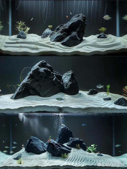能否提供一張更詳細的造景圖，一張“詳細”的造景圖要素清單 能否提供一張更詳細的造景圖，一張“詳細”的造景圖要素清單 龍魚百科 第13張