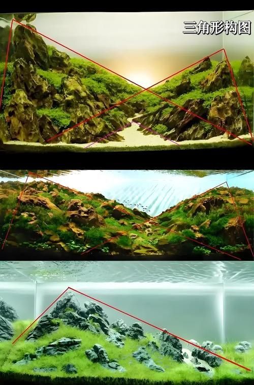能否提供一張更詳細的造景圖，一張“詳細”的造景圖要素清單 能否提供一張更詳細的造景圖，一張“詳細”的造景圖要素清單 龍魚百科 第12張