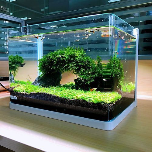 祥龍魚缸的價格范圍，祥龍魚缸價格一般多少？ 祥龍魚缸的價格范圍，祥龍魚缸價格一般多少？ 龍魚百科 第1張