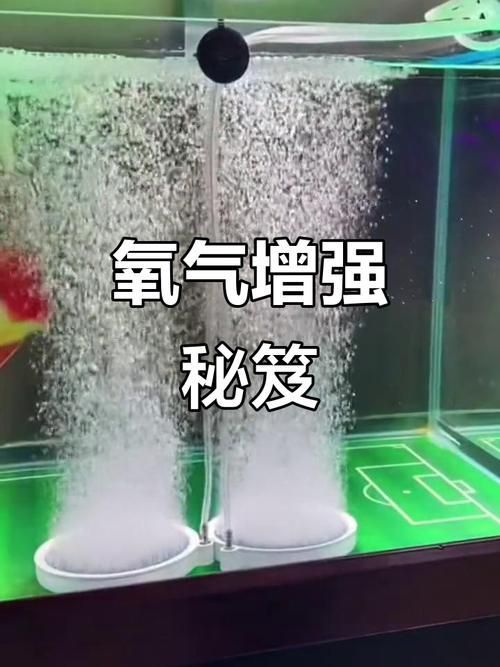 如何緩解魚的呼吸急促，如何緩解魚呼吸急促 如何緩解魚的呼吸急促，如何緩解魚呼吸急促 龍魚百科 第6張