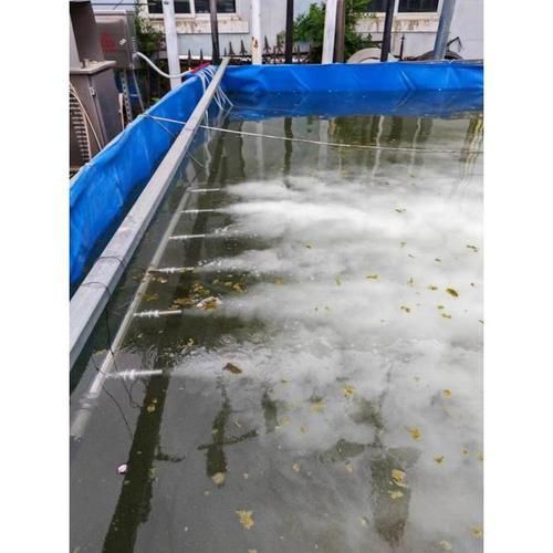 如何緩解魚的呼吸急促，如何緩解魚呼吸急促 如何緩解魚的呼吸急促，如何緩解魚呼吸急促 龍魚百科 第1張