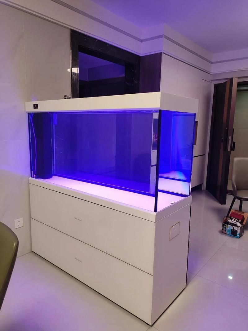 可麗愛魚缸有哪些型號?,可麗愛魚缸型號分類 龍魚百科 第9張 可麗愛魚缸有哪些型號?,可麗愛魚缸型號分類 可麗愛魚缸有哪些型號?,可麗愛魚缸型號分類 龍魚百科 第9張
