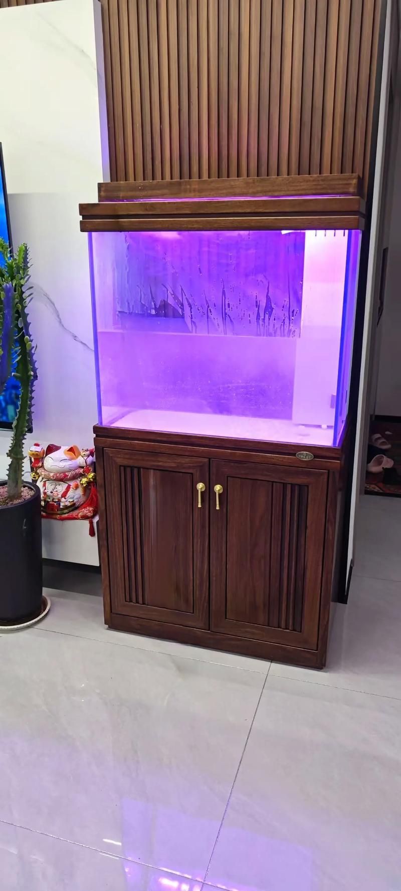 可麗愛魚缸有哪些型號?,可麗愛魚缸型號分類 龍魚百科 第10張 可麗愛魚缸有哪些型號?,可麗愛魚缸型號分類 可麗愛魚缸有哪些型號?,可麗愛魚缸型號分類 龍魚百科 第10張