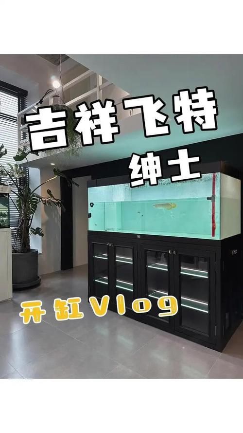祥龍魚場推薦什么品牌的缸?,祥龍魚場推薦什么品牌的缸 龍魚百科 第8張 祥龍魚場推薦什么品牌的缸?,祥龍魚場推薦什么品牌的缸 祥龍魚場推薦什么品牌的缸?,祥龍魚場推薦什么品牌的缸 龍魚百科 第8張