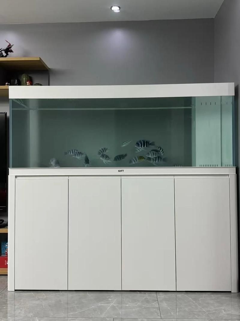 祥龍魚場推薦什么品牌的缸?,祥龍魚場推薦什么品牌的缸 龍魚百科 第7張 祥龍魚場推薦什么品牌的缸?,祥龍魚場推薦什么品牌的缸 祥龍魚場推薦什么品牌的缸?,祥龍魚場推薦什么品牌的缸 龍魚百科 第7張