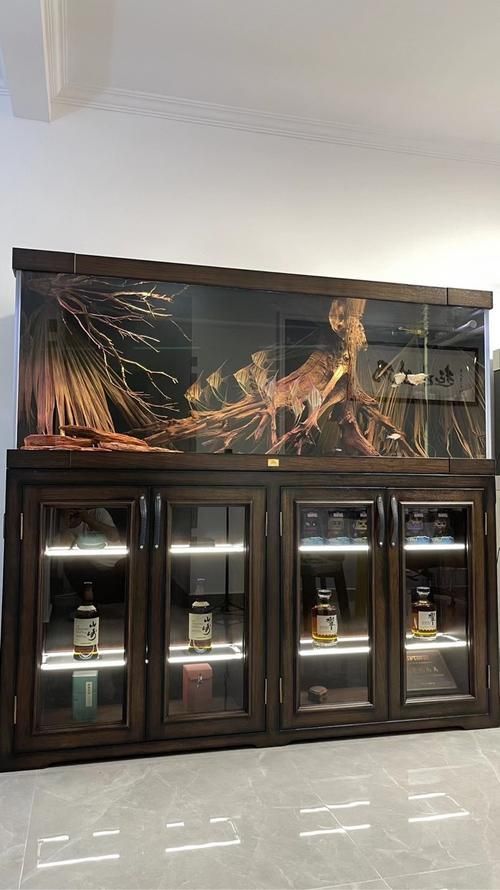 祥龍魚場推薦什么品牌的缸?,祥龍魚場推薦什么品牌的缸 龍魚百科 第6張 祥龍魚場推薦什么品牌的缸?,祥龍魚場推薦什么品牌的缸 祥龍魚場推薦什么品牌的缸?,祥龍魚場推薦什么品牌的缸 龍魚百科 第6張