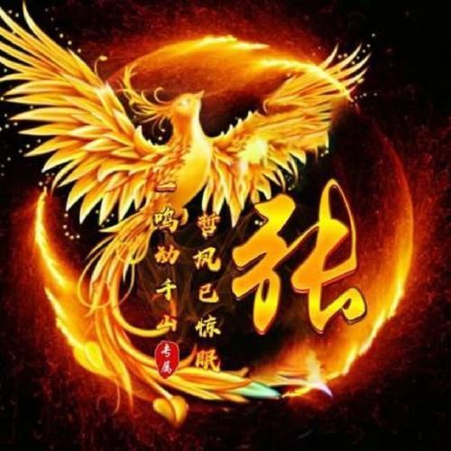 有沒有帶張字的龍圖片集錦，帶張字的龍圖片集錦 有沒有帶張字的龍圖片集錦，帶張字的龍圖片集錦 龍魚百科 第4張