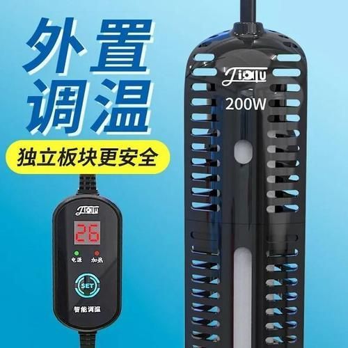 彩鰈和森森哪個更適合龍魚飼養? 龍魚百科 第11張 彩鰈和森森哪個更適合龍魚飼養? 彩鰈和森森哪個更適合龍魚飼養? 龍魚百科 第11張