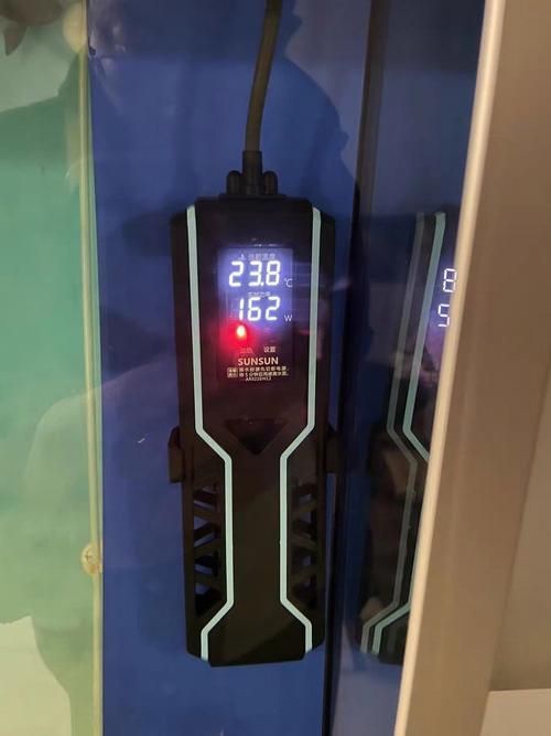 彩鰈和森森哪個更適合龍魚飼養? 龍魚百科 第10張 彩鰈和森森哪個更適合龍魚飼養? 彩鰈和森森哪個更適合龍魚飼養? 龍魚百科 第10張