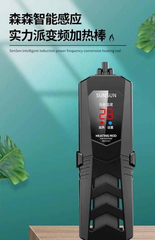 彩鰈和森森哪個更適合龍魚飼養? 龍魚百科 第7張 彩鰈和森森哪個更適合龍魚飼養? 彩鰈和森森哪個更適合龍魚飼養? 龍魚百科 第7張