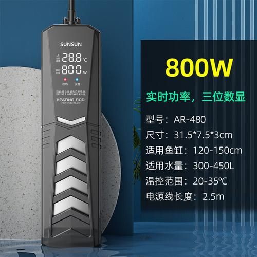 彩鰈和森森哪個更適合龍魚飼養? 龍魚百科 第12張 彩鰈和森森哪個更適合龍魚飼養? 彩鰈和森森哪個更適合龍魚飼養? 龍魚百科 第12張