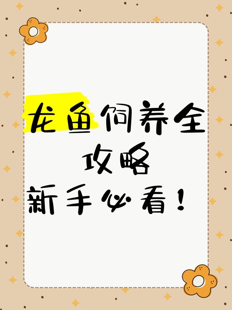 龍魚應(yīng)該如何飼養(yǎng)，關(guān)于如何飼養(yǎng)龍魚的基本指南：紅龍、紅尾、紅龍、紅龍 龍魚應(yīng)該如何飼養(yǎng)，關(guān)于如何飼養(yǎng)龍魚的基本指南：紅龍、紅尾、紅龍、紅龍 龍魚百科 第2張