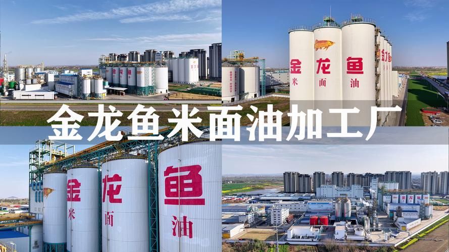 金龍魚基地有哪些參觀路線，金龍魚基地有哪些互動體驗項目