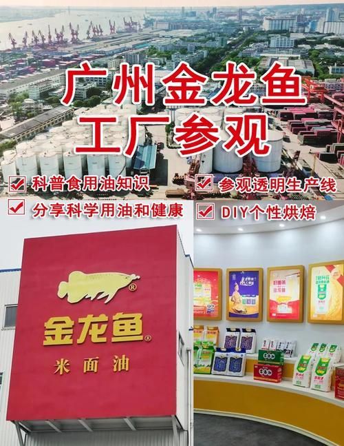 金龍魚基地有哪些參觀路線，金龍魚基地有哪些互動體驗項目