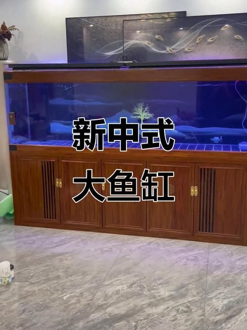 給我一份詳細的龍魚缸標準尺寸圖,道道全和金龍魚哪個性價比更高? 龍魚百科 第13張 給我一份詳細的龍魚缸標準尺寸圖,道道全和金龍魚哪個性價比更高? 給我一份詳細的龍魚缸標準尺寸圖,道道全和金龍魚哪個性價比更高? 龍魚百科 第13張