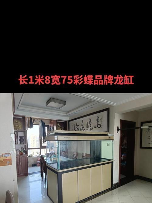 給我一份詳細的龍魚缸標準尺寸圖,道道全和金龍魚哪個性價比更高? 龍魚百科 第5張 給我一份詳細的龍魚缸標準尺寸圖,道道全和金龍魚哪個性價比更高? 給我一份詳細的龍魚缸標準尺寸圖,道道全和金龍魚哪個性價比更高? 龍魚百科 第5張