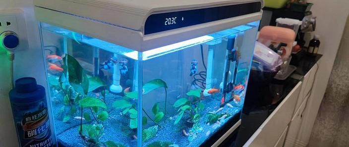 森森魚(yú)缸哪個(gè)系列最好？，he-480、he-480、he-300等型號(hào)概覽 森森魚(yú)缸哪個(gè)系列最好？，he-480、he-480、he-300等型號(hào)概覽 龍魚(yú)百科 第6張