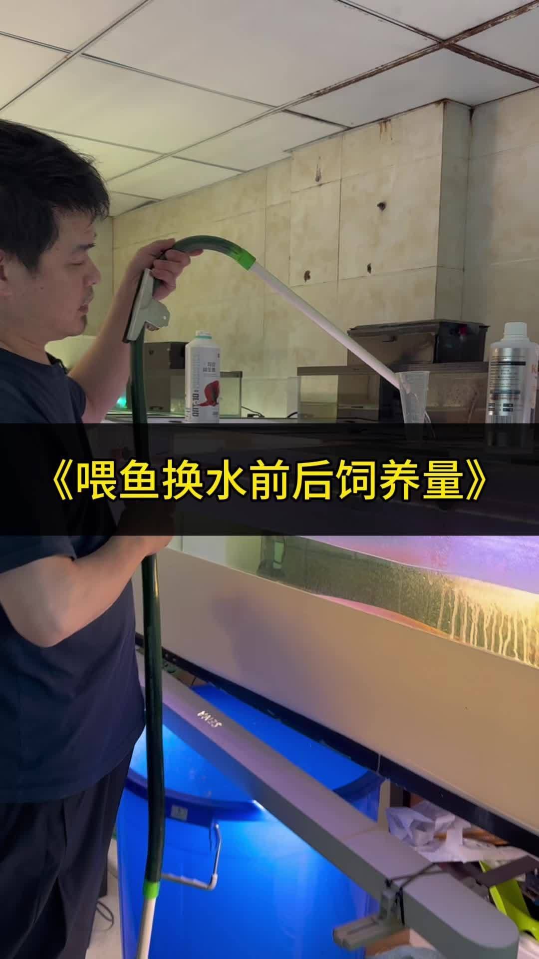 龍魚厭食有哪些治療方法，龍魚厭食怎么辦